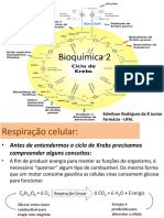 Material Bioquimica 2 - Ciclo de Krebs