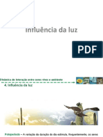 5.4. Influência Da Luz