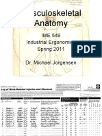 Musculoskeletal Anatomy: IME 549 Industrial Ergonomics Spring 2011 Dr. Michael Jorgensen