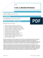 04 Tamano de La Imagen Retiniana-1 PDF