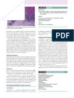 Etiology and Pathogenesis: Nonepithelial White-Yellow Lesions