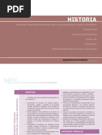 Historia. NES