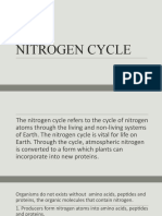 Nitrogen Cycle