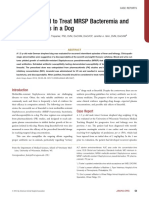 Use of Linezolid To Treat MRSP Bacteremia and Discospondylitis in A Dog