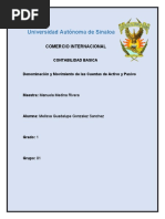 Denominación y Movimiento de Las Cuentas de Activo y Pasivo