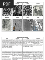 Microestructura y Fases Del Acero. Ferri PDF