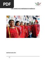 Los Derechos de Los Indigenas