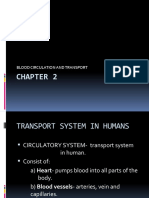 Blood Circulation and Transport