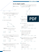 Ficha Adicional 01