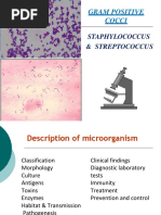 Staphylococcus & Streptococcus