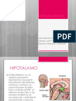 Hipotalamo PDF