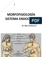 CLASE No 12 Sistema Endocrino N 1