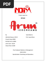 Arun Ice Cream - Case Study Report