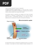 Qué Es El Líquido Intersticial