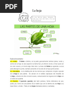 La Hoja