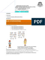 Clase 1 2do Trimestre de Biologia Los Cromosomas Sexuales