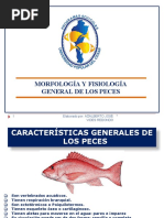 Morfologia y Fisiologia en Peces