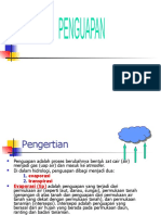 Penguapan