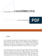 Ii Pleno Casatorio Civil - Nelson Pinedo Ob