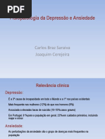 Fisiopatologia Da Depressão CBS JC Out14 PDF