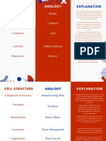 Cell Analogy 