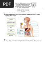 Guía de Repaso Biología 3°