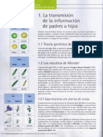 Genetica - La Transmicion de La Inf de Padres A Hijos PDF