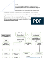 Mecanismos Fisiopatológicos Que Producen Neumonía