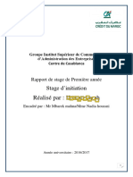 Rapport de Stage Dinitiation