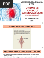 Aparato Cardiovascular Ii