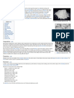 Diatomaceous Earth (Wiki)