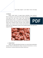 2.3 Fungi (Jamur) : Saccharomyces Carlbergesis, Hansenula Anomala, Nadsonia SP)