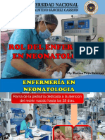 Competencias Del Enfermero en Neonatologia 2020-I PDF