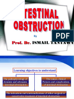 Int Obs PDF