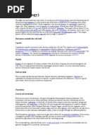 Cell (Biology) : Structures Outside The Cell Wall