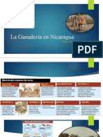 1-La Ganadería en Nicaragua