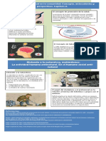 Infografia. Ecologia Humana PDF