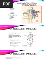 Diapositivas