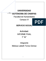 Servicio Social Final