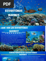 Ecosistemas Marinos