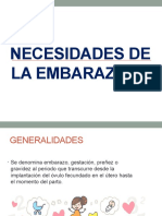 Necesidades de La Embarazada