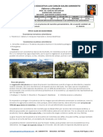 Biologia Septimo Semana 32 PDF