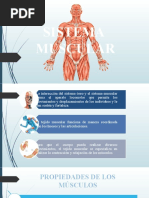 Diapositivas Informativas