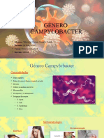 Genero Campylobacter Exposicion