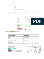 OBGYN Notes