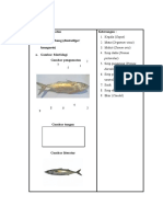 Data Pengamatan Siswan Ikan Kembung