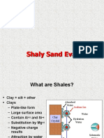 12 - Shaly Sand Evaluation