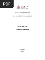 Guía de Seminario-Salud Pública I - 2020-II-no Presencial