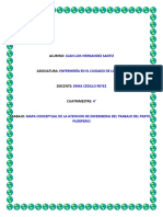 Mapa Conceptual Del Trabajo de Parto y Puerperio