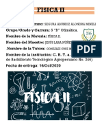 Fisica Ii PDF